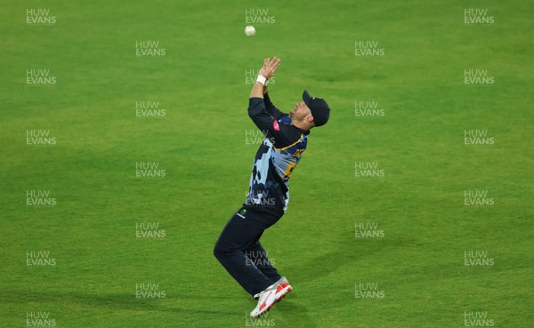 230526 - Glamorgan v Gloucestershire, Vitality Blast Men -  Sean Dickson of Glamorgan catches Duan Jansen of Gloucestershire off Mason Crane of Glamorgan