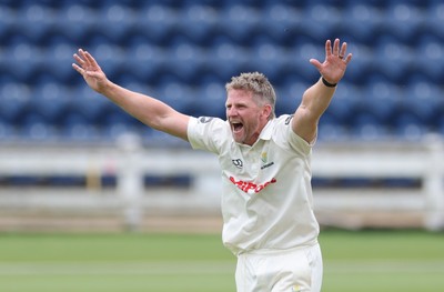 290625  Glamorgan v Gloucestershire, Rothesay County Championship Division 2 - Timm van der Gugten of Glamorgan makes an appeal