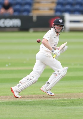 290625  Glamorgan v Gloucestershire, Rothesay County Championship Division 2 - Joe Phillips of Gloucestershire plays a shot