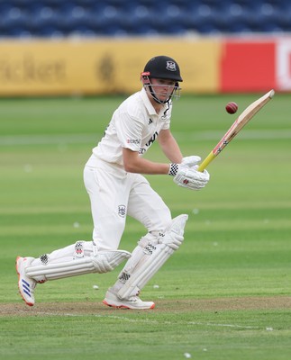 290625  Glamorgan v Gloucestershire, Rothesay County Championship Division 2 - Joe Phillips of Gloucestershire