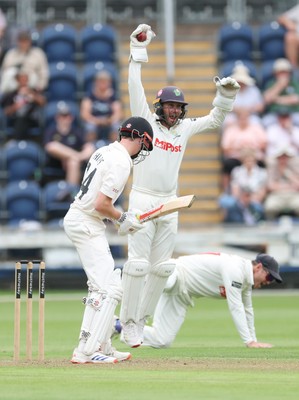 290625  Glamorgan v Gloucestershire, Rothesay County Championship Division 2 - Chris Cooke of Glamorgan celebrates as he catches Joe Phillips of Gloucestershire off the bowling of Ben Kellaway of Glamorgan