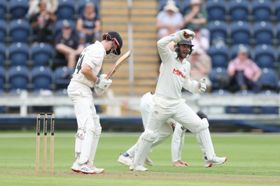290625  Glamorgan v Gloucestershire, Rothesay County Championship Division 2 - Chris Cooke of Glamorgan celebrates as he catches Joe Phillips of Gloucestershire off the bowling of Ben Kellaway of Glamorgan