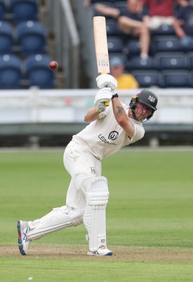 290625  Glamorgan v Gloucestershire, Rothesay County Championship Division 2 - Miles Hammond of Gloucestershire plays a shot