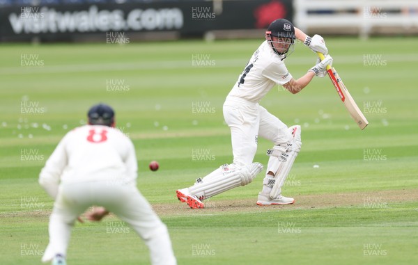 290625  Glamorgan v Gloucestershire, Rothesay County Championship Division 2 - Joe Phillips of Gloucestershire plays a shot towards Ben Kellaway of Glamorgan