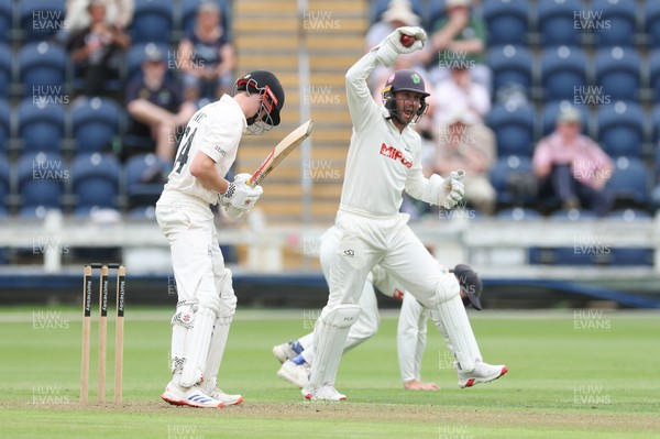 290625  Glamorgan v Gloucestershire, Rothesay County Championship Division 2 - Chris Cooke of Glamorgan celebrates as he catches Joe Phillips of Gloucestershire off the bowling of Ben Kellaway of Glamorgan