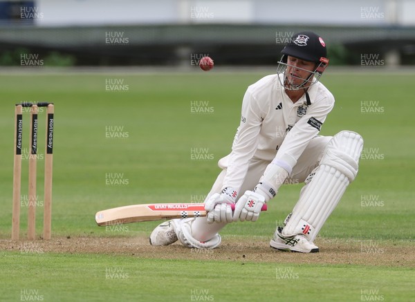 290625  Glamorgan v Gloucestershire, Rothesay County Championship Division 2 - Ollie Price of Gloucestershire plays a shot