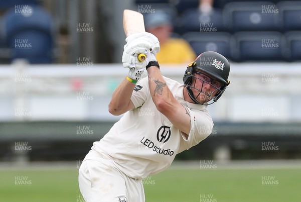 290625  Glamorgan v Gloucestershire, Rothesay County Championship Division 2 - Miles Hammond of Gloucestershire plays a shot