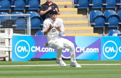 300625  Glamorgan v Gloucestershire, Rothesay County Championship Division 2 - Todd Murphy of Gloucestershire catches Kiran Carlson of Glamorgan