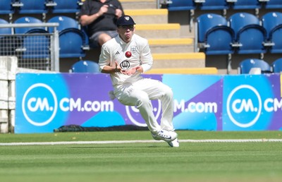 300625  Glamorgan v Gloucestershire, Rothesay County Championship Division 2 - Todd Murphy of Gloucestershire catches Kiran Carlson of Glamorgan