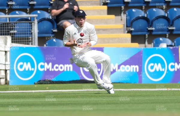300625  Glamorgan v Gloucestershire, Rothesay County Championship Division 2 - Todd Murphy of Gloucestershire catches Kiran Carlson of Glamorgan