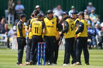 050825 - Glamorgan v Hampshire - Metro Bank One Day Cup - Asa Tribe of Glamorgan celebrates with team mates after he catches the ball to dismiss Tilak Varma of Hampshire