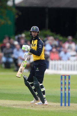050825 - Glamorgan v Hampshire - Metro Bank One Day Cup - Eddie Byrom of Glamorgan batting