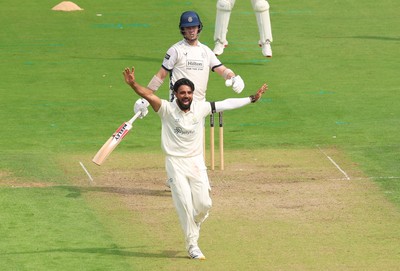 270826 - Glamorgan v Hampshire, Rothesay County Championship Division 1 - Zain ul Hassan of Glamorgan celebrates after taking the wicket of Ali Orr of Hampshire