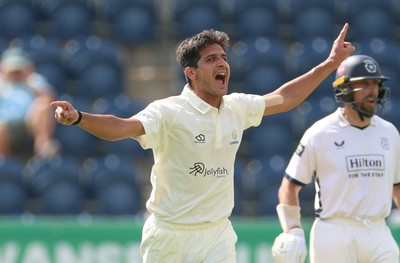 270826 - Glamorgan v Hampshire, Rothesay County Championship Division 1 - Mir Hamza of Glamorgan celebrates after taking the wicket of Andrew Neal of Hampshire