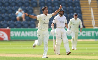 270826 - Glamorgan v Hampshire, Rothesay County Championship Division 1 - Mir Hamza of Glamorgan celebrates after taking the wicket of Andrew Neal of Hampshire