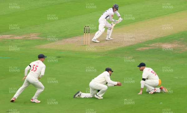 270826 - Glamorgan v Hampshire, Rothesay County Championship Division 1 - Kiran Carlson of Glamorgan fields the ball from Toby Albert of Hampshire