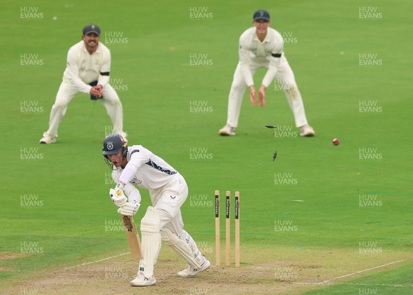270826 - Glamorgan v Hampshire, Rothesay County Championship Division 1 - Toby Albert of Hampshire is bowled by Zain ul Hassan of Glamorgan