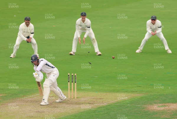 270826 - Glamorgan v Hampshire, Rothesay County Championship Division 1 - Toby Albert of Hampshire is bowled by Zain ul Hassan of Glamorgan