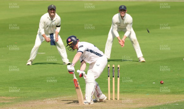 270826 - Glamorgan v Hampshire, Rothesay County Championship Division 1 -  Ben Brown of Hampshire is bowled by Mir Hamza of Glamorgan