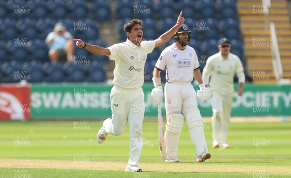 270826 - Glamorgan v Hampshire, Rothesay County Championship Division 1 - Mir Hamza of Glamorgan celebrates after taking the wicket of Andrew Neal of Hampshire