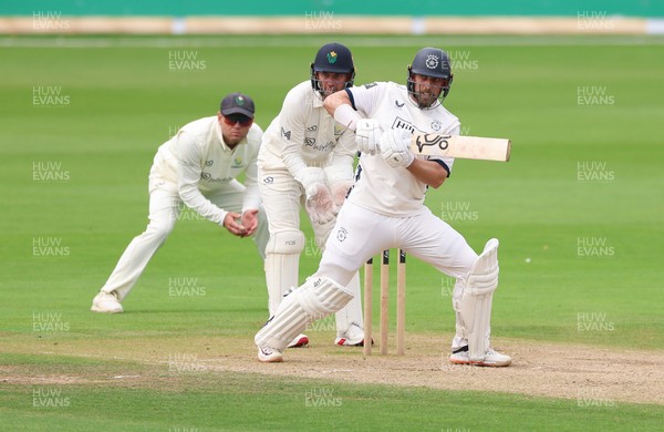 300826 Glamorgan v Hampshire, Rothesay County Championship Division 1 - Jake Lehmann of Hampshire plays a shot