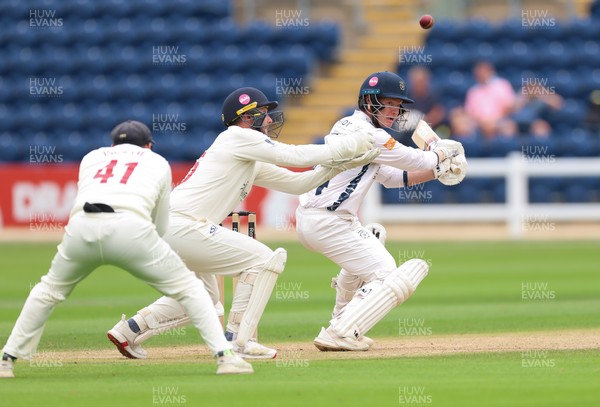 300826 Glamorgan v Hampshire, Rothesay County Championship Division 1 - Tom Prest of Hampshire hits a four over the heads of Chris Cooke of Glamorgan and Colin Ingram of Glamorgan