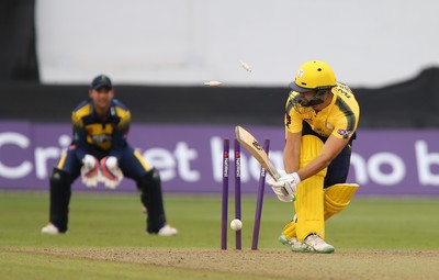 Glamorgan v Hampshire T20 070717