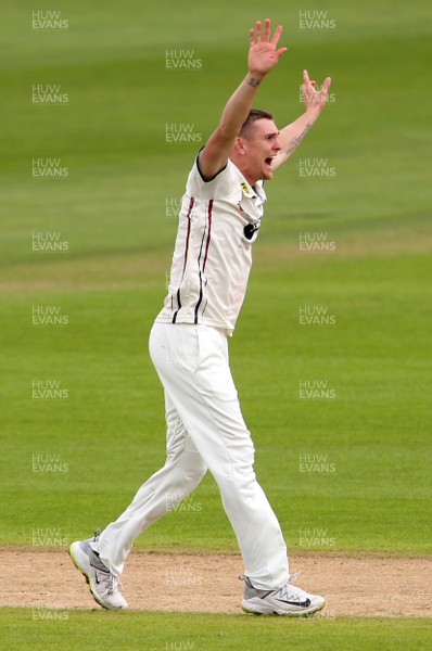 040518 - Glamorgan v Kent - Specsavers County Championship - Division Two - Harry Podmore of Kent appeals for a wicket