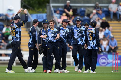 060725 - Glamorgan v Kent - T20, Vitality Blast - Andy Gorvin of Glamorgan celebrates taking the wicket of Joe Denly of Kent
