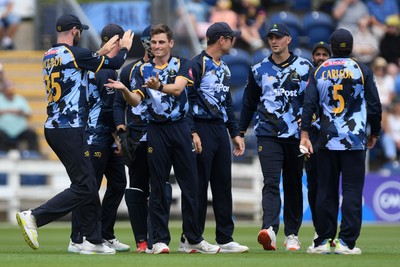 060725 - Glamorgan v Kent - T20, Vitality Blast - Andy Gorvin of Glamorgan celebrates taking the wicket of Joe Denly of Kent