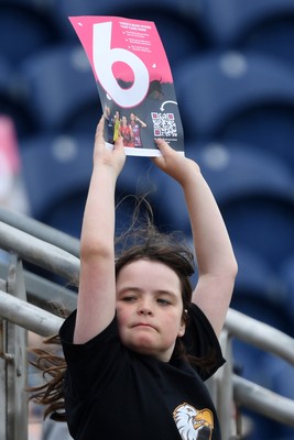 060725 - Glamorgan v Kent - T20, Vitality Blast - Fans