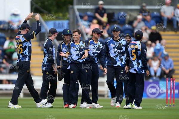060725 - Glamorgan v Kent - T20, Vitality Blast - Andy Gorvin of Glamorgan celebrates taking the wicket of Joe Denly of Kent