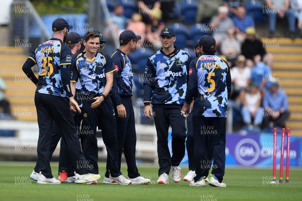 060725 - Glamorgan v Kent - T20, Vitality Blast - Andy Gorvin of Glamorgan celebrates taking the wicket of Joe Denly of Kent
