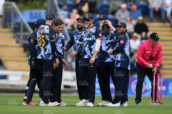 060725 - Glamorgan v Kent - T20, Vitality Blast - Andy Gorvin of Glamorgan celebrates taking the wicket of Joe Denly of Kent