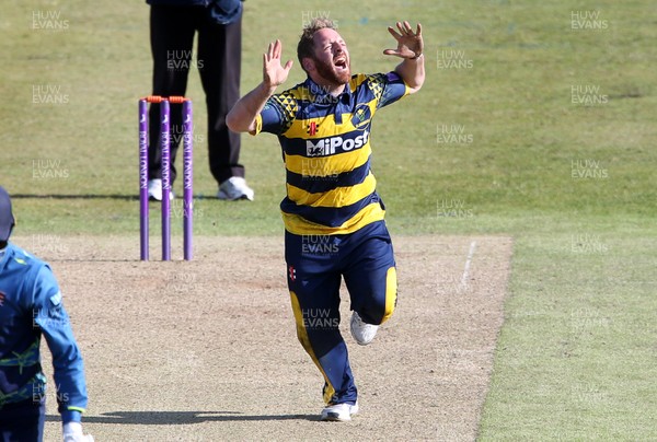 140517 - Glamorgan v Kent - Royal London One-Day Cup - David Lloyd of Glamorgan celebrates after Alex Blake of Kent is caught by Chris Cooke