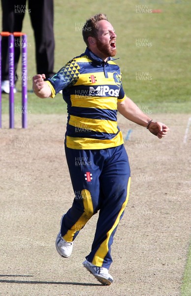 140517 - Glamorgan v Kent - Royal London One-Day Cup - David Lloyd of Glamorgan celebrates after Alex Blake of Kent is caught by Chris Cooke