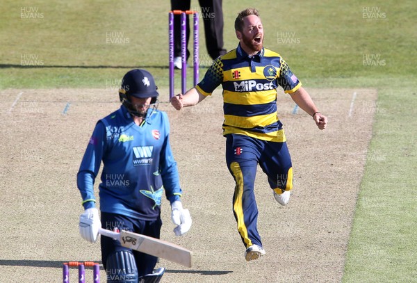 140517 - Glamorgan v Kent - Royal London One-Day Cup - David Lloyd of Glamorgan celebrates after Alex Blake of Kent is caught by Chris Cooke