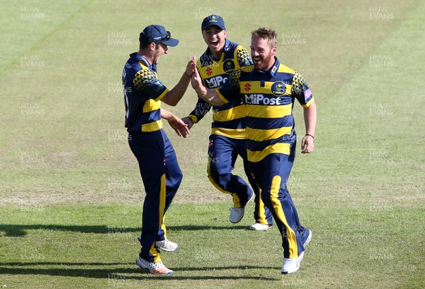 140517 - Glamorgan v Kent - Royal London One-Day Cup - David Lloyd of Glamorgan celebrates with team mates after Alex Blake of Kent is caught by Chris Cooke