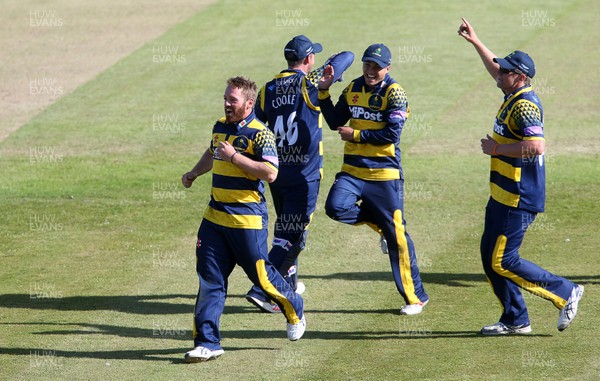 140517 - Glamorgan v Kent - Royal London One-Day Cup - David Lloyd of Glamorgan celebrates with team mates after Alex Blake of Kent is caught by Chris Cooke