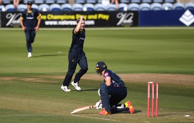 160621 - Glamorgan v Kent - T20 Vitality Blast - Dan Douthwaite of Glamorgan celebrates the wicket of Sam Billings of Kent