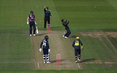 160621 - Glamorgan v Kent - T20 Vitality Blast - Prim Sisodiya of Glamorgan celebrates the wicket of Daniel Bell-Drummond of Kent