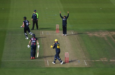 160621 - Glamorgan v Kent - T20 Vitality Blast - Prim Sisodiya of Glamorgan celebrates the wicket of Zak Crawley of Kent