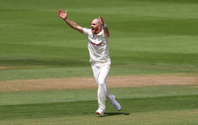 220725 - Glamorgan v Kent - Rothesay County Championship Division 2 - James Harris of Glamorgan appeals for a wicket