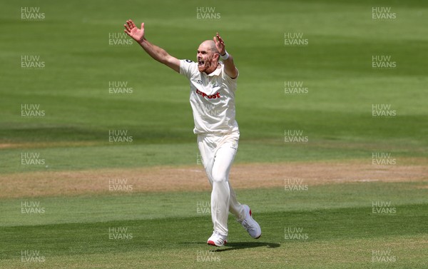 220725 - Glamorgan v Kent - Rothesay County Championship Division 2 - James Harris of Glamorgan appeals for a wicket