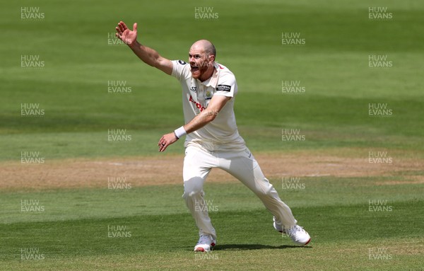 220725 - Glamorgan v Kent - Rothesay County Championship Division 2 - James Harris of Glamorgan appeals for a wicket