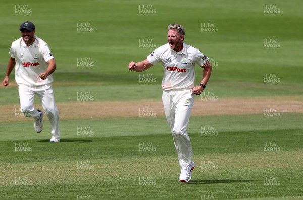 220725 - Glamorgan v Kent - Rothesay County Championship Division 2 - Timm Van Der Gugten of Glamorgan celebrates after Joey Evison is caught by Chris Cooke