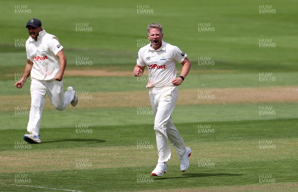 220725 - Glamorgan v Kent - Rothesay County Championship Division 2 - Timm Van Der Gugten of Glamorgan celebrates after Joey Evison is caught by Chris Cooke