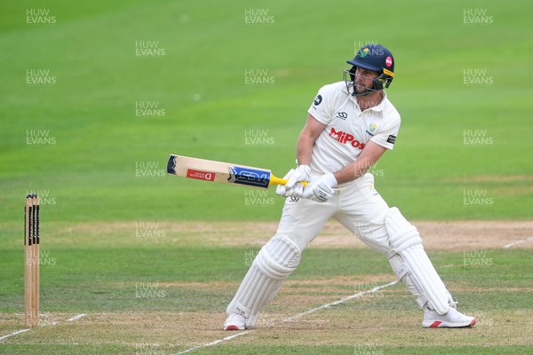 230725 - Glamorgan v Kent -  Rothesay County Championship - Chris Cooke of Glamorgan batting