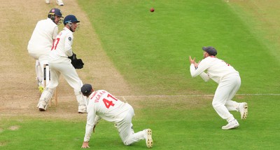 240725  Glamorgan v Kent, Rothesay County Championship Division 2, Day 3 - Billy Root of Glamorgan catches Matt Quinn of Kent off the bowling of Kiran Carlson of Glamorgan