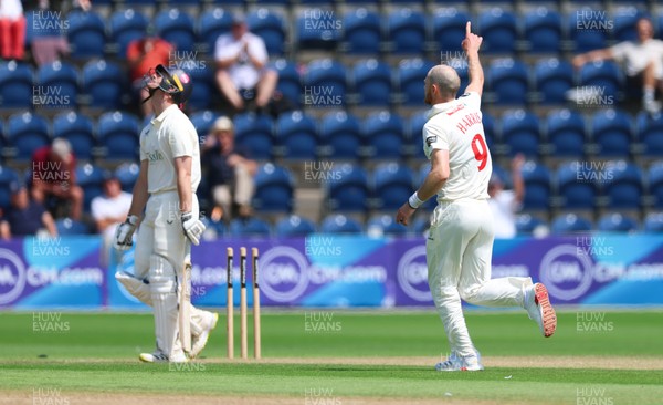 240725  Glamorgan v Kent, Rothesay County Championship Division 2, Day 3 - James Harris of Glamorgan celebrates as he takes the wicket of Chris Benjamin of Kent